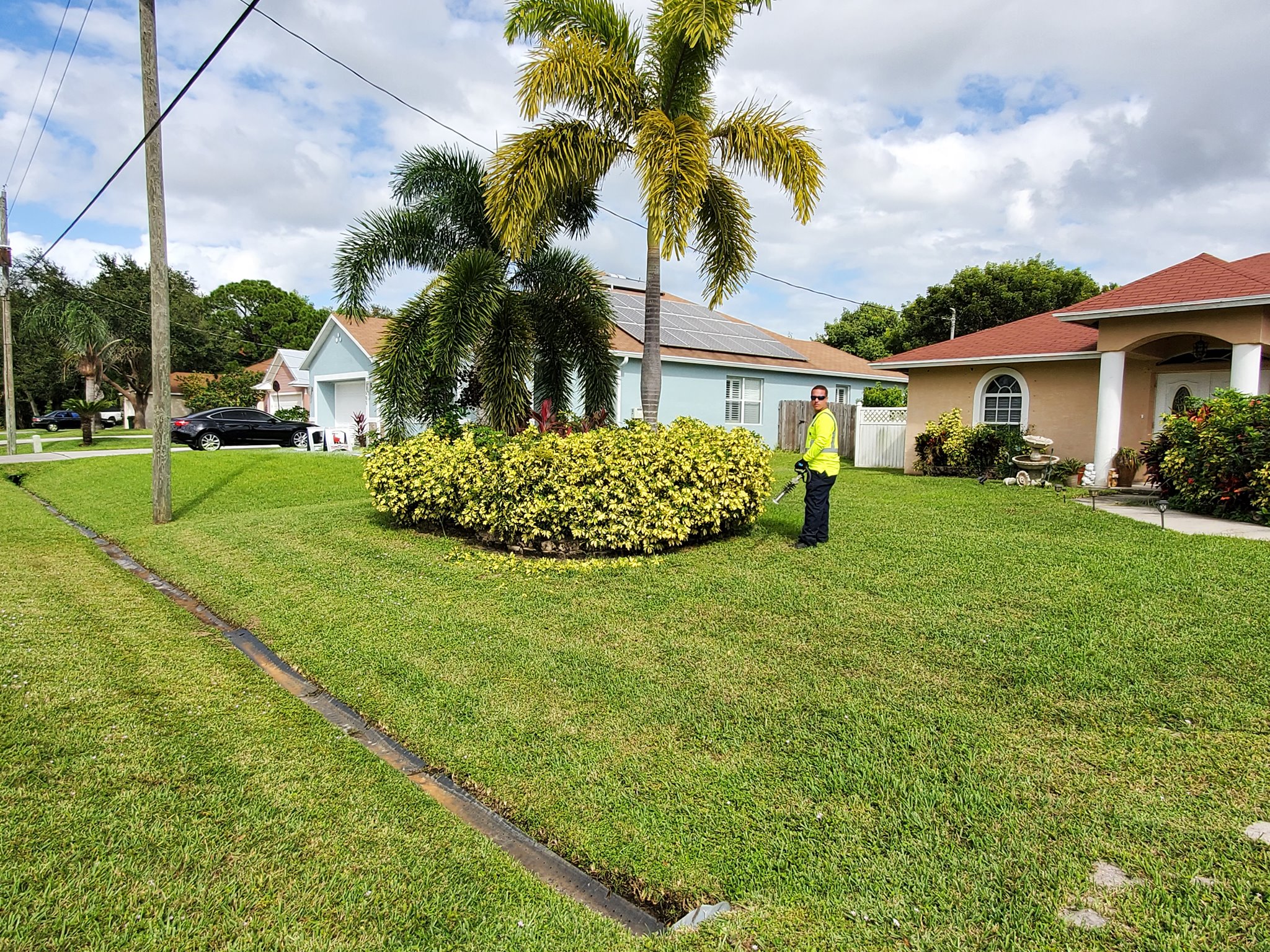 A man standing in a yard next to a bush