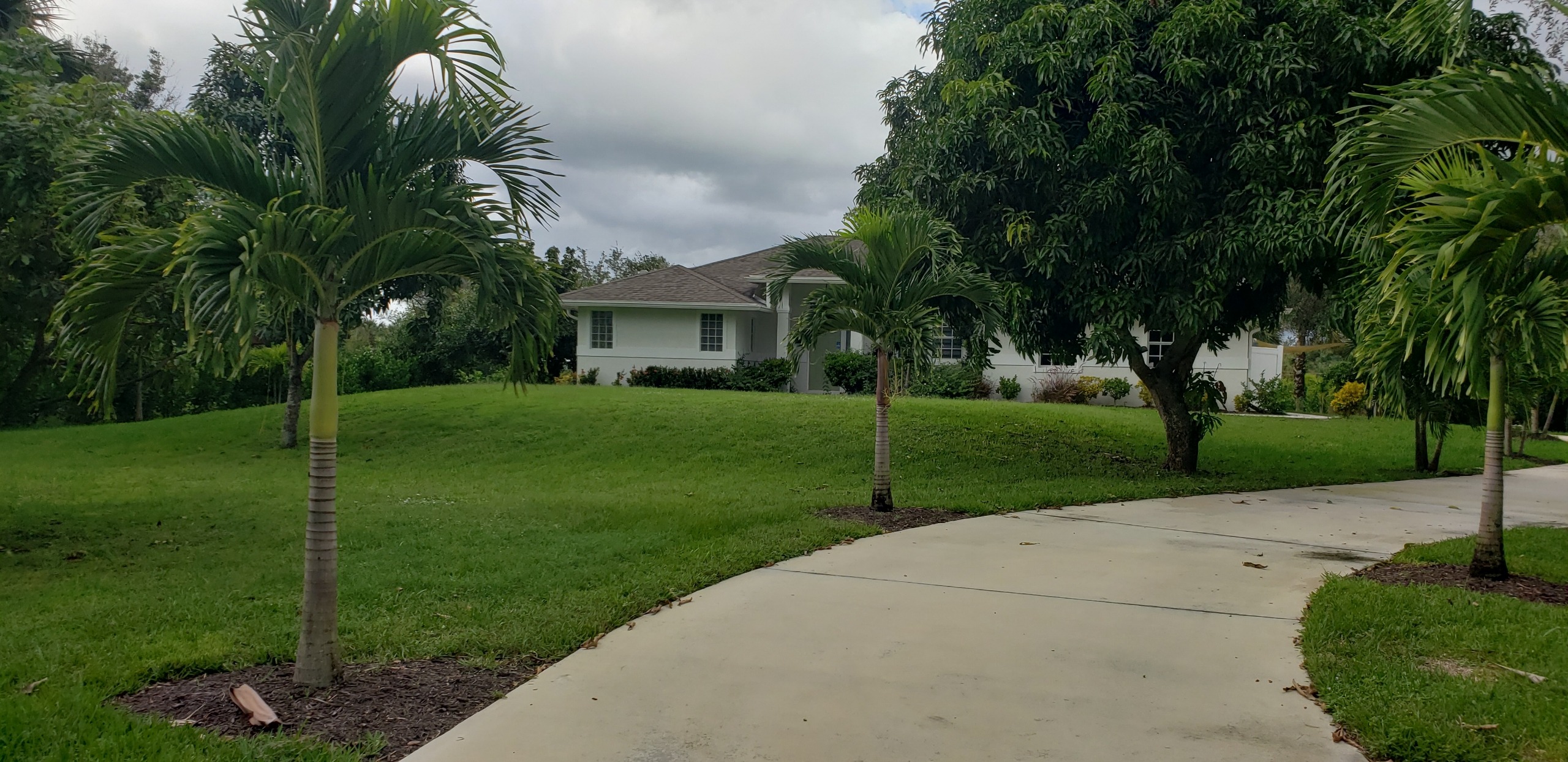 A house in the background with palm trees in the foreground