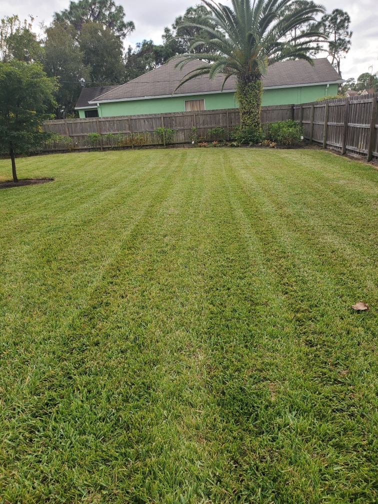 A yard with grass and a fence in the background